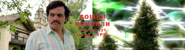 spice Новодвинск