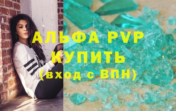 spice Новодвинск