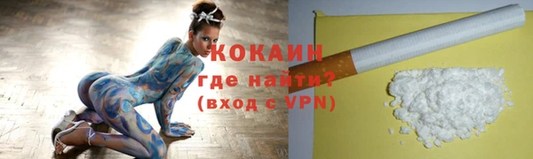 spice Новодвинск