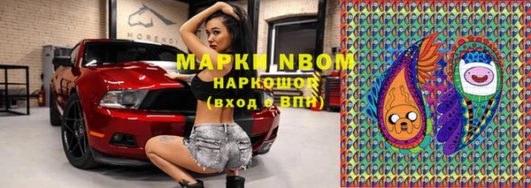 spice Новодвинск